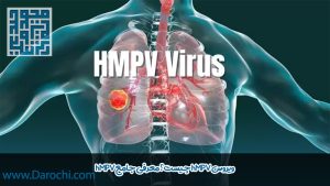 ویروس hmpv چیست؟