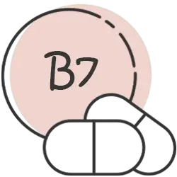 B7