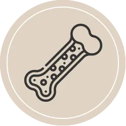 مکمل-استخوان-و-مفاصل-داروچی