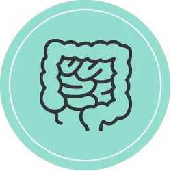 مکمل-ملین-و-ضد-یبوست-داروچی